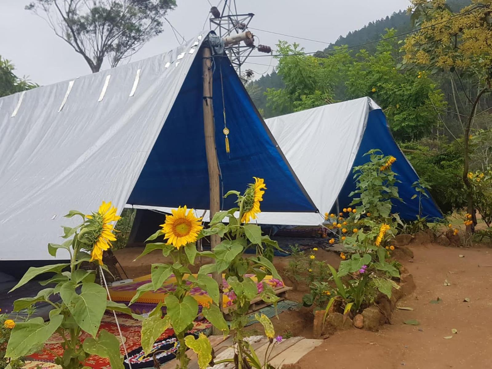 Freedom Camp Ella Otel Oda fotoğraf