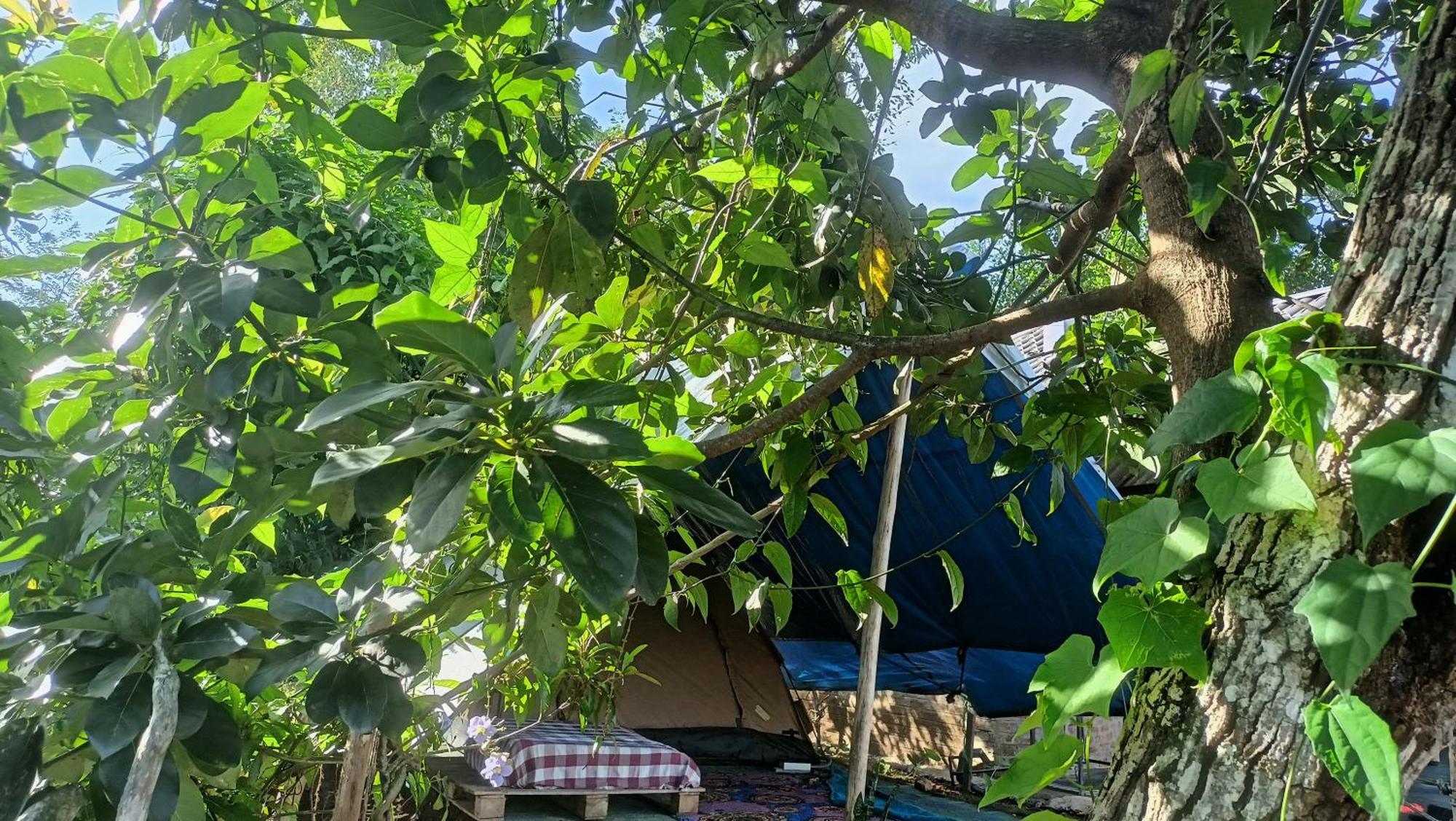 Freedom Camp Ella Otel Dış mekan fotoğraf